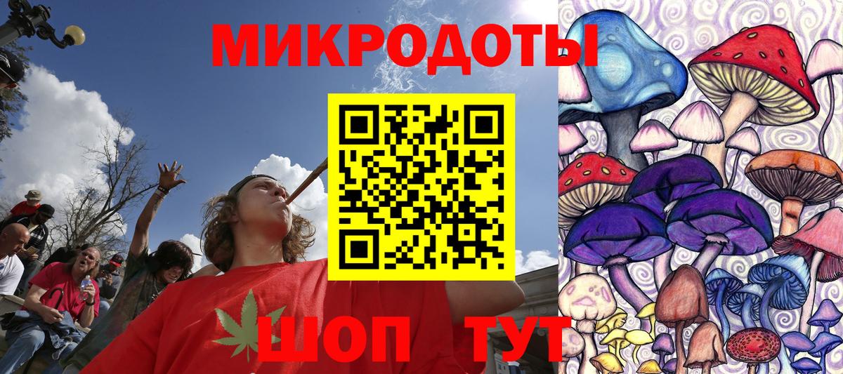 Североморск  Галлюциногенные грибы Cubensis  Вход с VPN 
